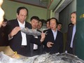 Bộ trưởng Mai Tiến Dũng kiểm tra hải sản tồn kho tại Quảng Bình