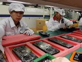 Foxconn là đối tác sản xuất iPhone chính của Apple