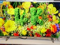 Ba mẫu TV màn hình cong của Asanzo mới xuất hiện trên thị trường là AS32CS6000 32 inch, AS40CS6000 40 inch và AS50CS6000 50 inch. Ba sản phẩm này đều sử dụng tấm nền LED của LG.