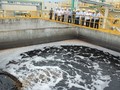Hệ thống xử lý nước thải của nhà máy Formosa.
