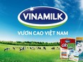 Nhiều kinh nghiệm được rút ra sau thương vụ bán vốn nhà nước tại Vinamilk