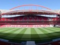 Lịch sử Benfica cho thấy CLB luôn là điểm trung chuyển của các cầu thủ Nam Mỹ với bóng đá châu Âu. Ảnh CLB
