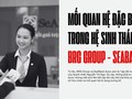 Mối quan hệ “đặc biệt” trong hệ sinh thái BRG Group và SeABank