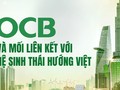 OCB và mối liên kết với hệ sinh thái Hướng Việt