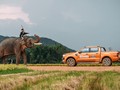 2017 là năm thành công với mẫu xe bán tải Ford Ranger