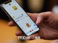 Một chiếc smartphone có thể giúp phát hiện ung thư. Ảnh: AFP/TTXVN