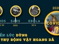 Nhiều dịch bệnh có nguồn gốc từ động vật hoang dã (ảnh: ENV)