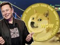Elon Musk được biết là người có nhiều tweet cổ vũ cho Dogecoin