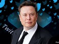 Elon Musk muốn bán cổ phiếu cho nhân viên Twitter