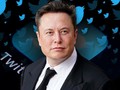 Tỉ phú Elon Musk một lần nữa phải hầu tòa để trả lời chất vấn về thương vụ mua lại Twitter