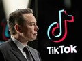 Elon Musk có thể thành ông chủ TikTok tại Mỹ?