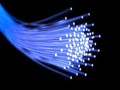Sợi cáp quang (ảnh: ibtimes)
