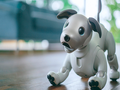 Chú chó robot Aibo của Sony tạo ra sự thu hút lớn tại CES 2018 (Ảnh Reuters)