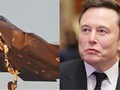 Elon Musk đang chỉ trích F-35. Ảnh: Business Insider.
