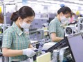 Để Việt Nam không là “mỏ vàng” gia công cho nước ngoài