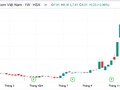 Cổ phiếu HID của Halcom tăng giá liên tục, đạt đỉnh "kịch trần": Đâu là động lực thật sự?