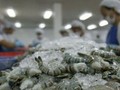 DOC vừa tăng mức thuế chống bán phá giá tôm Việt Nam lên 4,78% - (Ảnh minh họa)