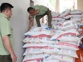 Thị trường phân bón của Việt Nam đang rất hỗn loạn - (Ảnh minh họa)