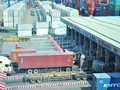 Lãnh đạo Cục Hải quan cam kết hỗ trợ, bảo vệ doanh nghiệp để doanh nghiệp làm ăn tốt, đóng góp số thu nhiều. Ảnh: Hoạt động xuất nhập khẩu hàng hóa tại cảng Cát Lái. Ảnh: Minh Tâm