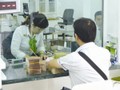 Giao dịch tại Vietcombank. Đây là một trong số ít ngân hàng có mức trả cổ tức bằng tiền ở mức 10-12%/năm. Ảnh: UYÊN VIỄN