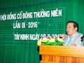 Phó Tổng Giám đốc HQC Trần Thái Sơn. (Ảnh: hqc.vn)