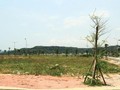 Đất nền tỉnh lẻ đang được nhiều nhà đầu tư quan tâm. Ảnh: Thành Nguyễn