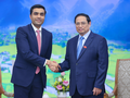 Thủ tướng Phạm Minh Chính tiếp ông Karan Adani, Tổng Giám đốc Công ty Cảng và Đặc khu kinh tế, thuộc Tập đoàn Adani (Ảnh: VGP)