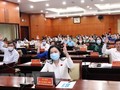 Các đại biểu HĐND TP.HCM biểu quyết thông qua Dự thảo Nghị quyết. (Ảnh- Xuân Khu)