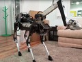 Sản phẩm này của hãng phát triển robot Boston Dynamic phát triển.