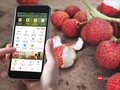 Người dùng có thể mua nông sản trên ứng dụng ví điện tử MoMo.