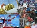 Phấn đấu tỉ trọng kinh tế số đạt 20% GDP vào năm 2025. Ảnh minh họa.