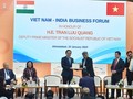 Phó Thủ tướng Chính phủ Trần Lưu Quang cùng các đại biểu dự Diễn đàn doanh nghiệp Việt Nam - Ấn Độ.