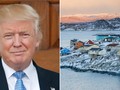 Có rất nhiều lời đồn đoán về việc ông Trump thực sự muốn mua lại Greenland (Ảnh: Getty)