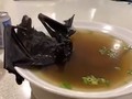 Canh dơi là món ăn khá phổ biến, thậm chí được xem là đặc sản ở Trung Quốc (Ảnh: RT)