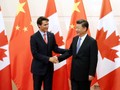 Thủ tướng Canada Justin Trudeau và Chủ tịch Trung Quốc Tập Cận Bình trong cuộc gặp ở Bắc Kinh ngày 31/8/2016 (Ảnh: Reuters)