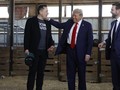 Tỷ phú Elon Musk trở thành người ủng hộ lớn cho chiến dịch tranh cử của ông Donald Trump (Ảnh: Getty)