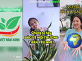 Trào lưu Vì một Việt Nam xanh.