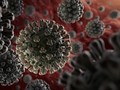 Virus SARS-CoV-2. Ảnh: Getty Images