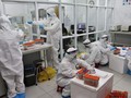 Nhân viên y tế làm việc trong phòng xét nghiệm (Ảnh - BYT) 