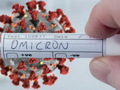 Biến chủng omicron (Ảnh minh hoạ) 
