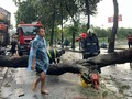 Siêu bão Yagi đang giật cấp 17, mưa dông cực mạnh ập tới Hà Nội kéo đổ cây làm 1 người chết