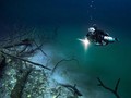 Con sông ngầm Cenote Angelita nằm dưới lòng đại dương thuộc bán đảo Yucatan (Mexico). Ảnh: Boredpanda
