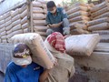 Thương lái chi phối cả thị trường xi măng 