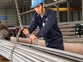 Ngành thép có thể bị cạnh tranh bởi các đối thủ của Liên minh Kinh tế Á-Âu