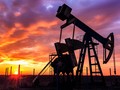 Ngân hàng Goldman Sachs và OPEC vừa có cùng nhận định về thùng dầu giá 20 USD vào năm sau - Ảnh: Shutterstock