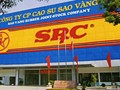 Cao su Sao Vàng muốn xây Trung tâm thương mại gần Royal City