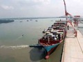 Tàu Arthur Maersk cập cảng Tân Cảng - Cái Mép Thị Vải để lấy hàng đi bờ Đông (Mỹ). Ảnh: Lê Anh