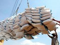 Giá gạo Việt Nam xuất khẩu đột ngột giảm
