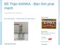 Một trong số quảng cáo sản phẩm Kanka Katasuryokujin không rõ nguồn gốc