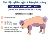 Nhà khoa học ở đâu trong “bão” dịch tả lợn châu Phi?